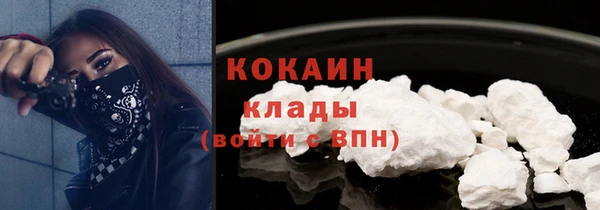 гидропоника Кодинск