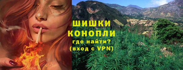 твердый Козловка