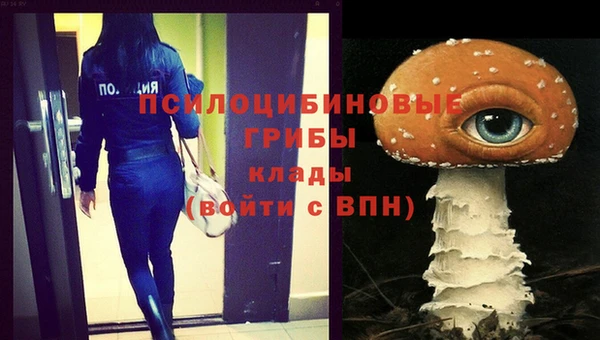 твердый Козловка