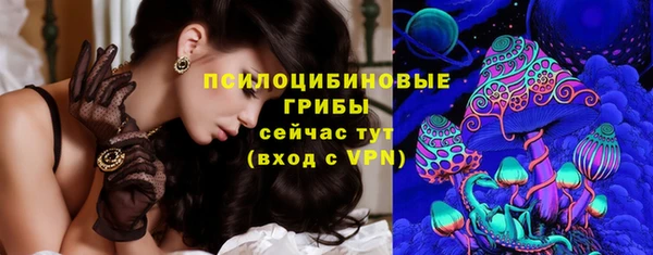 гидропоника Кодинск