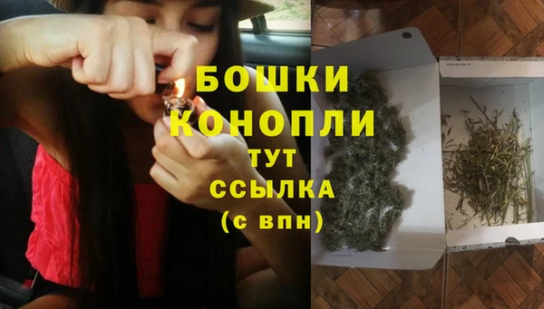 твердый Козловка