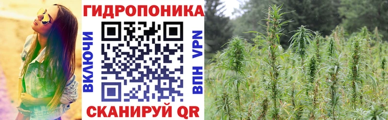 Купить где  Вышний Волочёк  Конопля планчик 